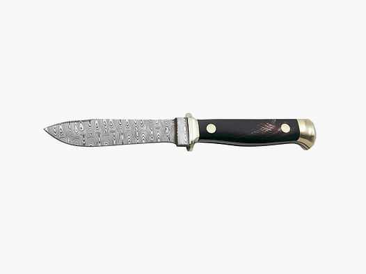 PUMA Annual Knife 2025 Buffalo Horn