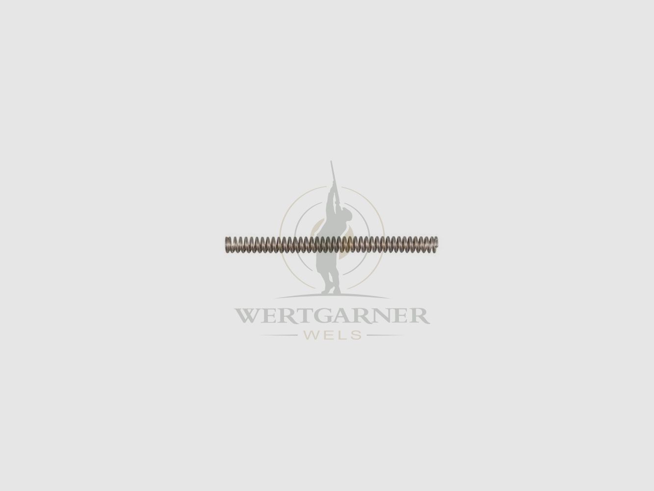 AR15 Takedown Pin Detent Spring
