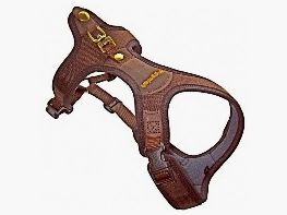 Collar Follow Light S - 42cm de circunferencia del cuello