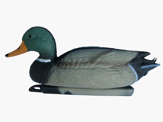 Eisport PATO MACHO