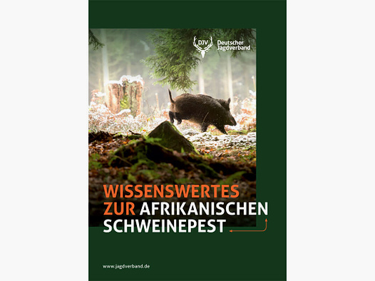 Broschüre "Wissenswertes zur Afrikanischen Schweinepest"