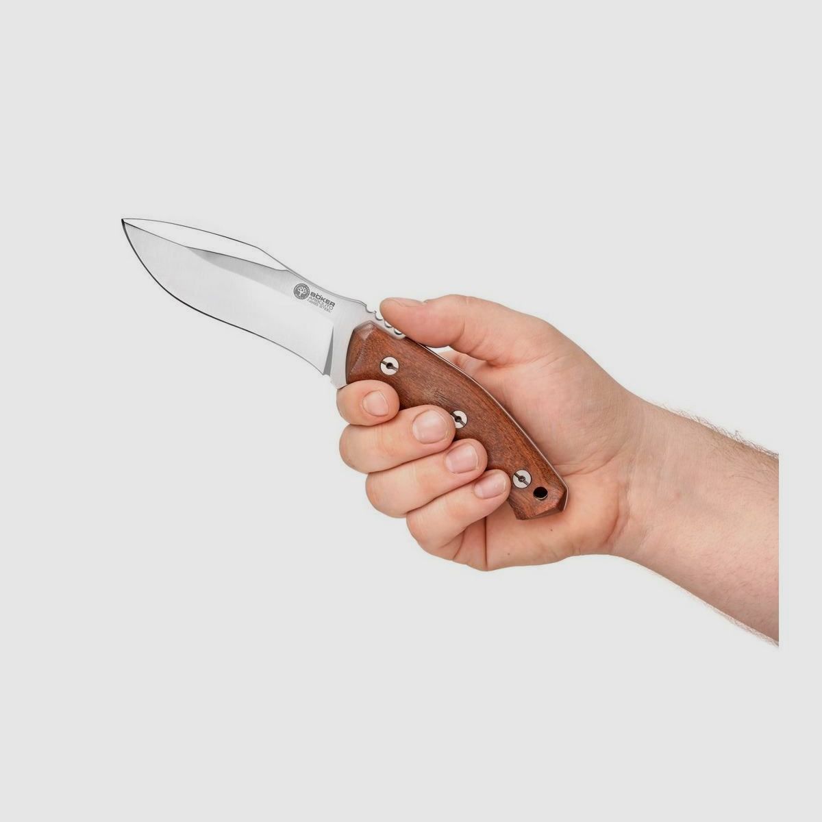 Böker Arbolito Scorpion Guayacan coltello fisso, immagine 6 di 6