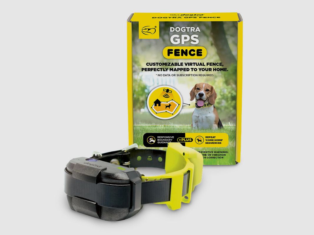 COLLIER GPS ANTI-FUGUE DOGTRA FENCE 173584, image 1 sur 6