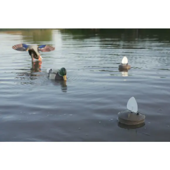 Mojo Flock A Flicker 2 x4, afbeelding 3 van 10