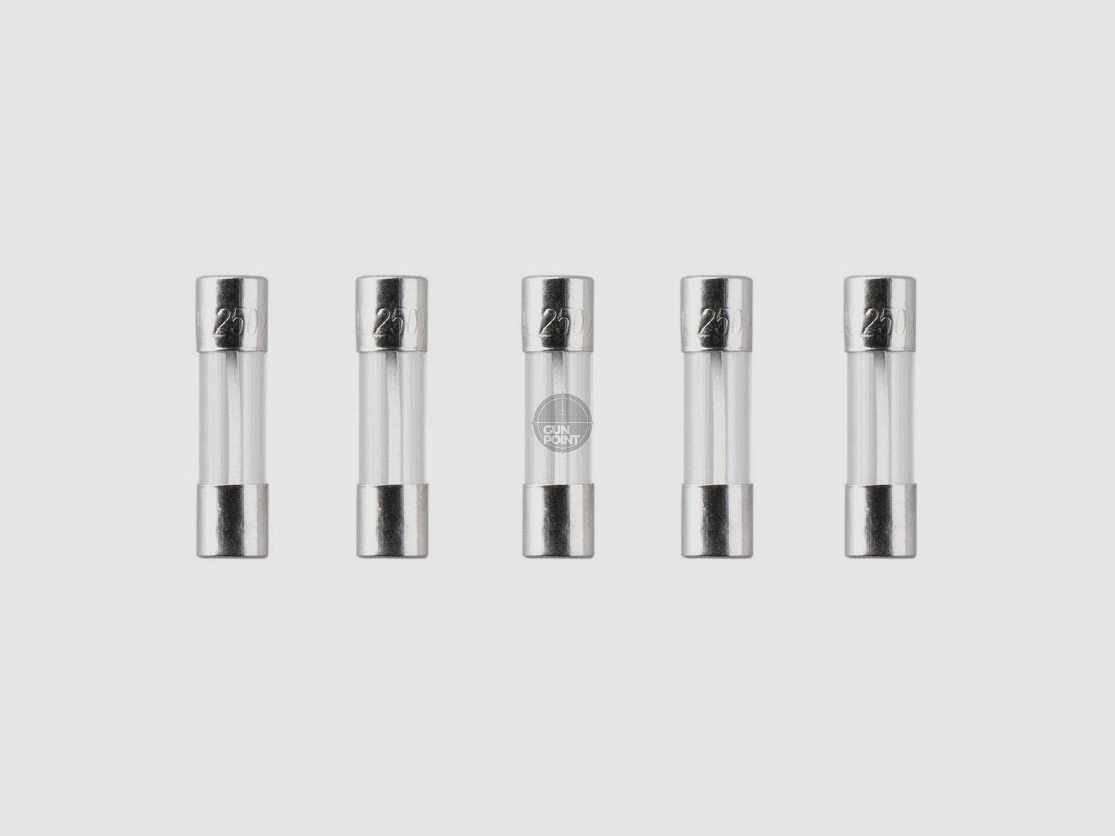 Nimrod Glass Type Fuse 5x20mm 30A 5pcs