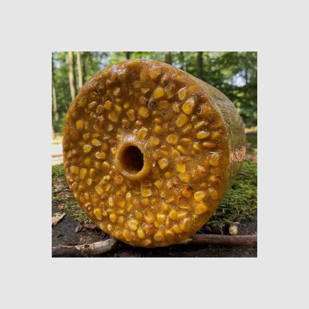 WILDLUTSCHER Spezial Leckstein "Süßer Mais"