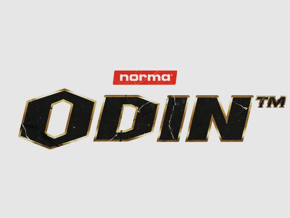 NORMA .30-06 SPRING ODIN 11,7G/180GR, Bild 3 von 3