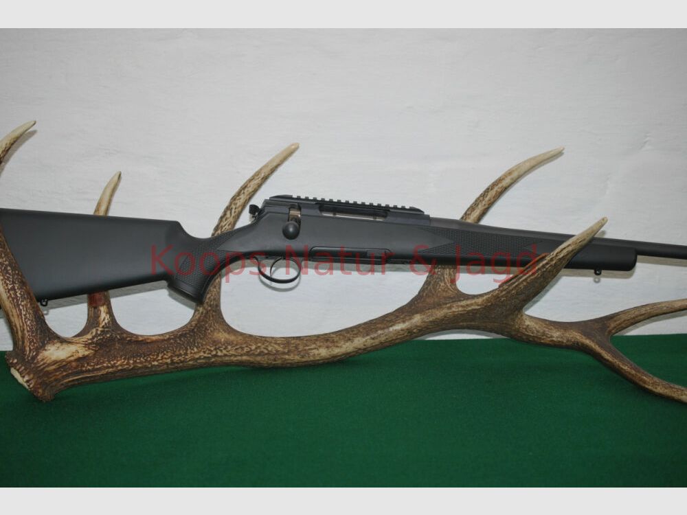 Rössler Signature Allround