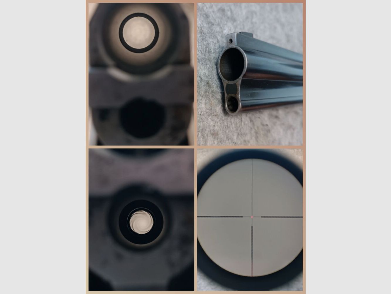 Blaser ES 80 mit Zielfernrohr Capra 2-12x50 Leuchtpunkt