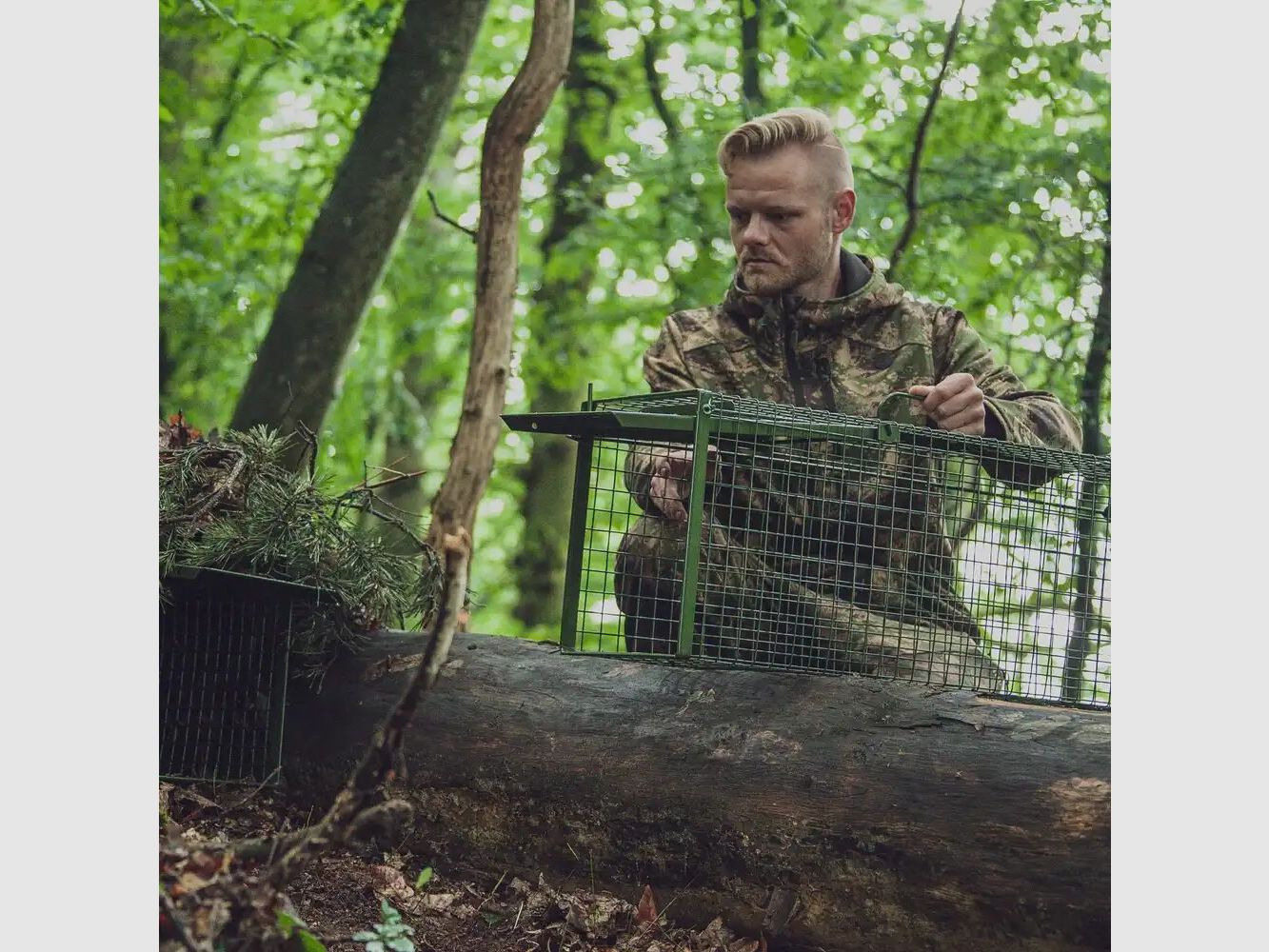 Frankonia trappola a caduta – porta a battente singola