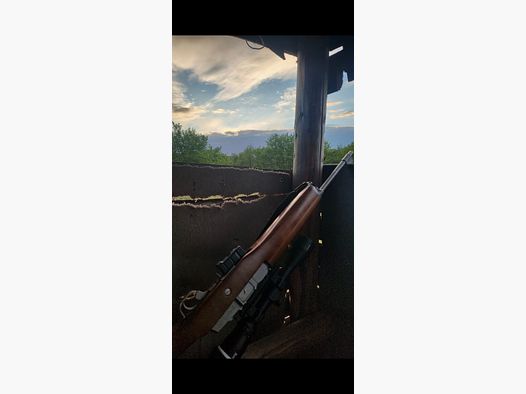 Ruger Mini 14 223 + amunicja