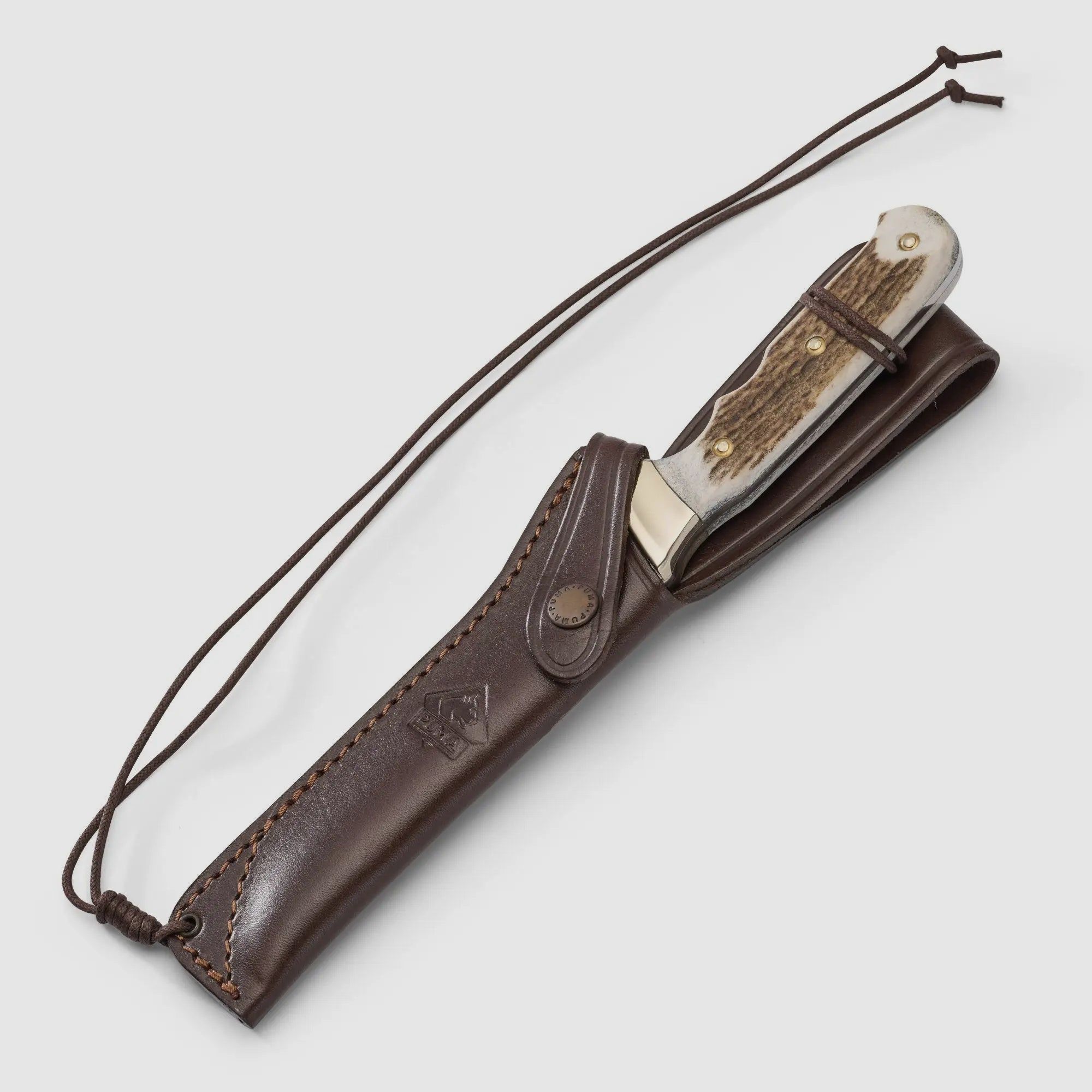 PUMA wildtöter, stag