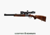 Blaser BBF95 Luxus Komplettangebot inkl. Optik