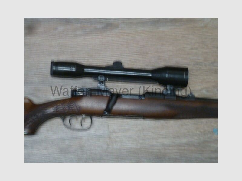 Steyr-Mannlicher GK