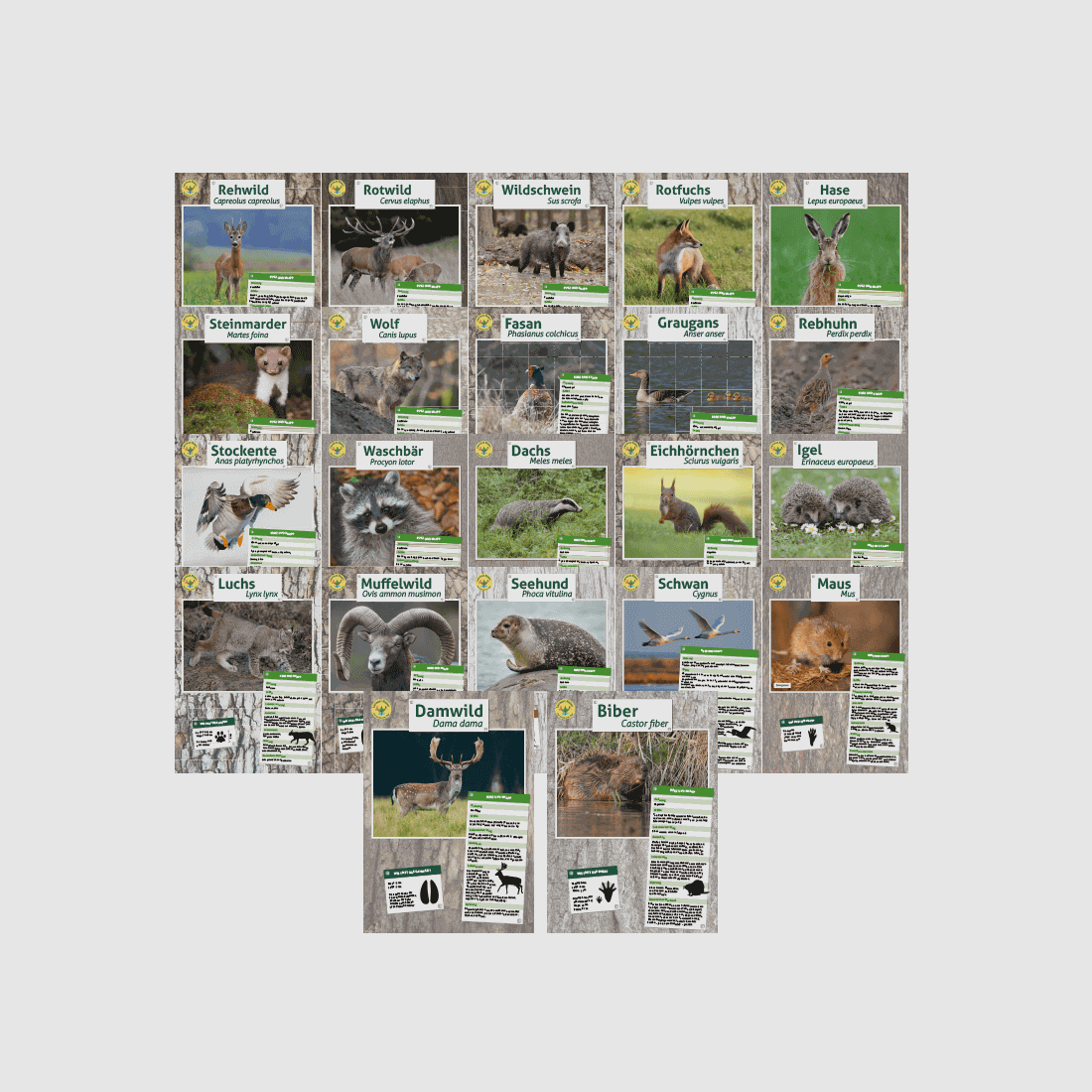 Tierposter im Format DIN A4 (Satz mit 22 Stück)