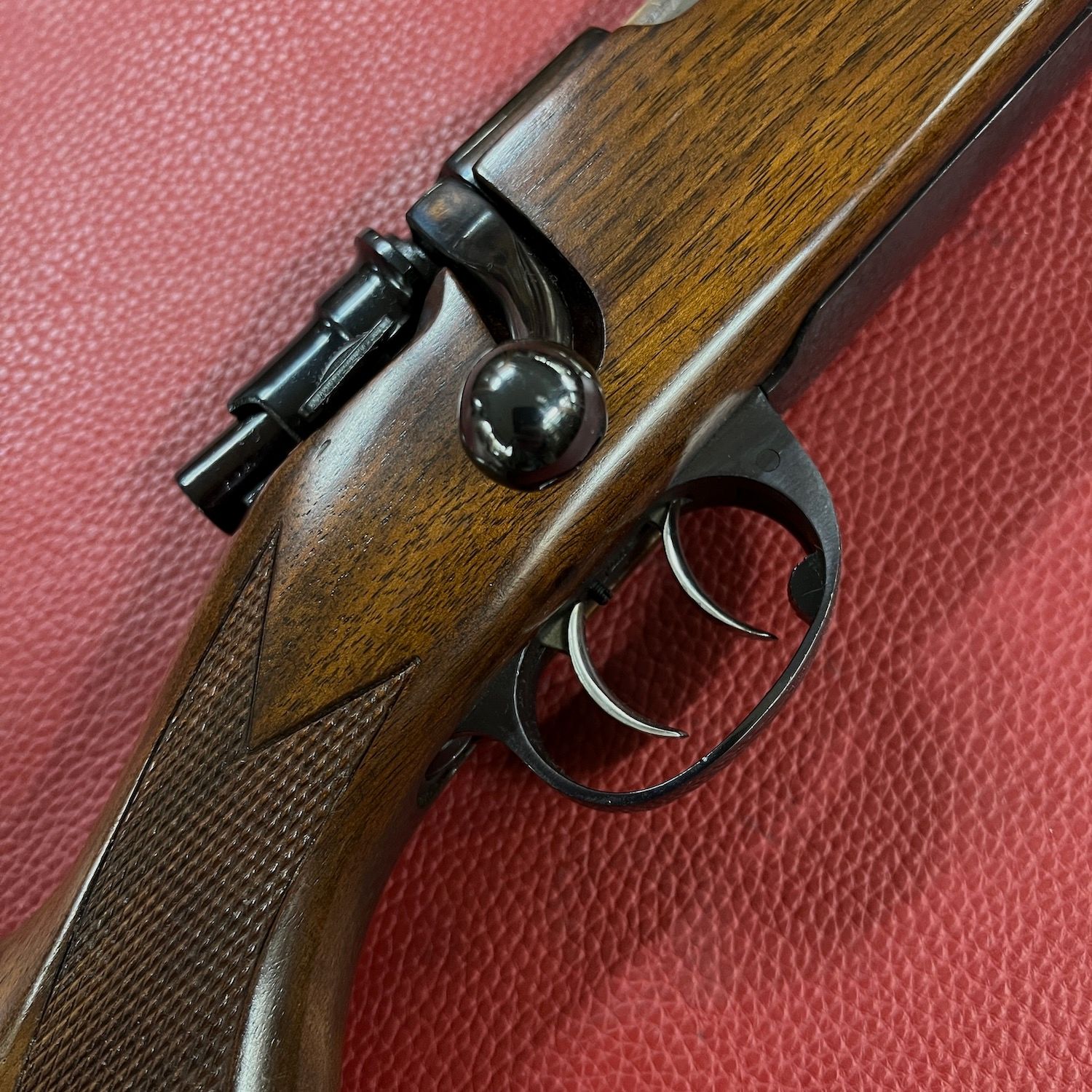 Gamba Zastava, Bild 7 von 9