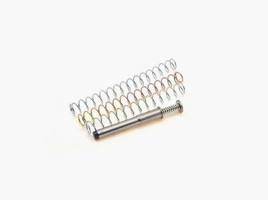 DPM MS-CZ-13 CZ P-10 C Compact STRIKER FIRED 9mm