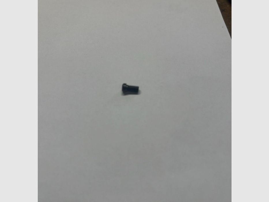 Steyr Mannl. Klemmschraube Montage Torx, Bild 5 von 10