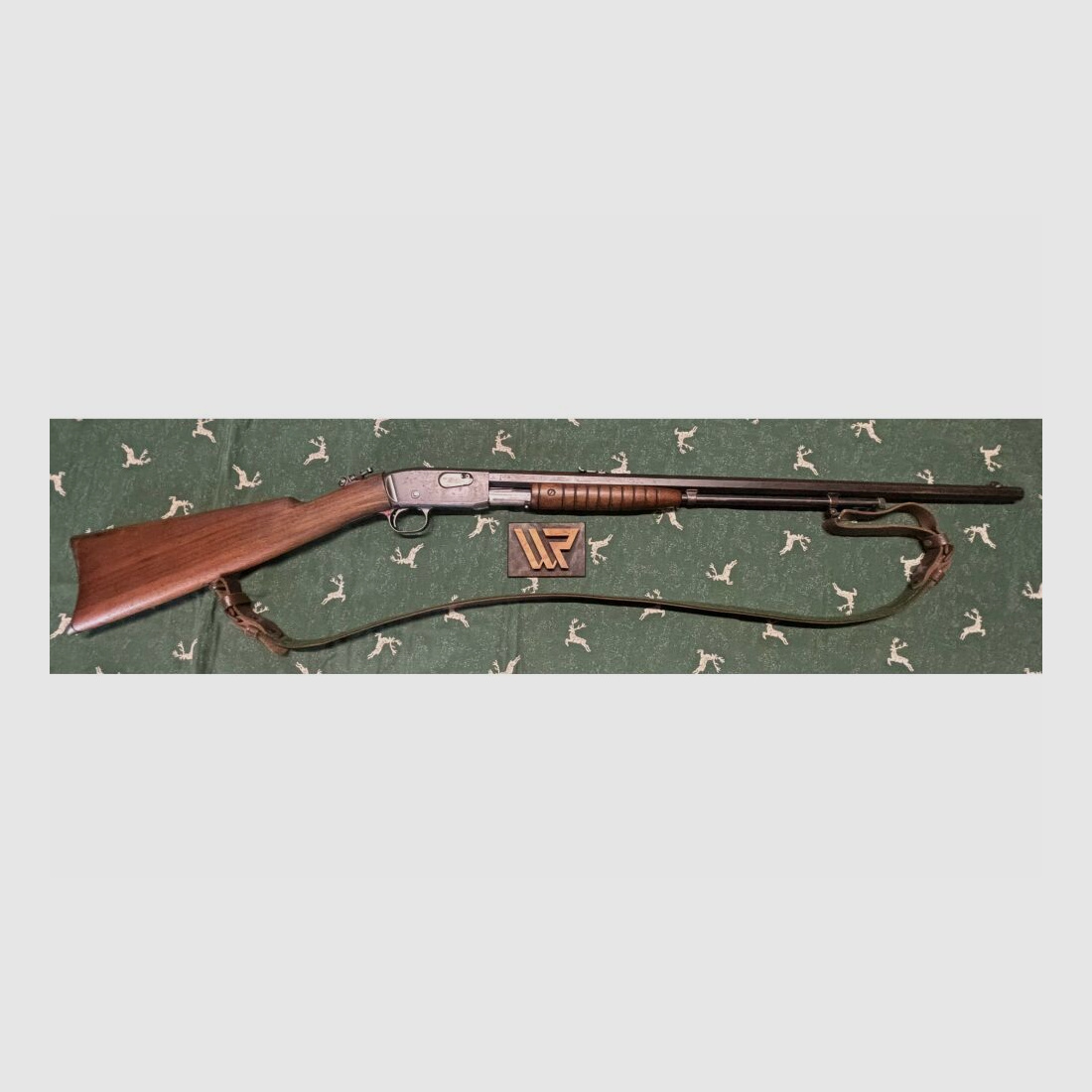 Remington Vorderschaftrepetierbüchse	 .22lr