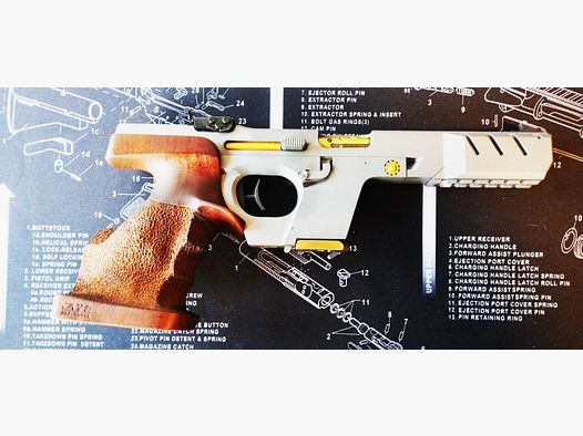 Walther GSP .22lr