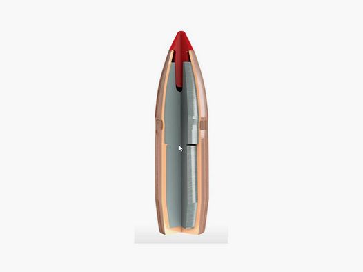 HORNADY PALLE P. 500S&W(500) 300GR FTX -50102