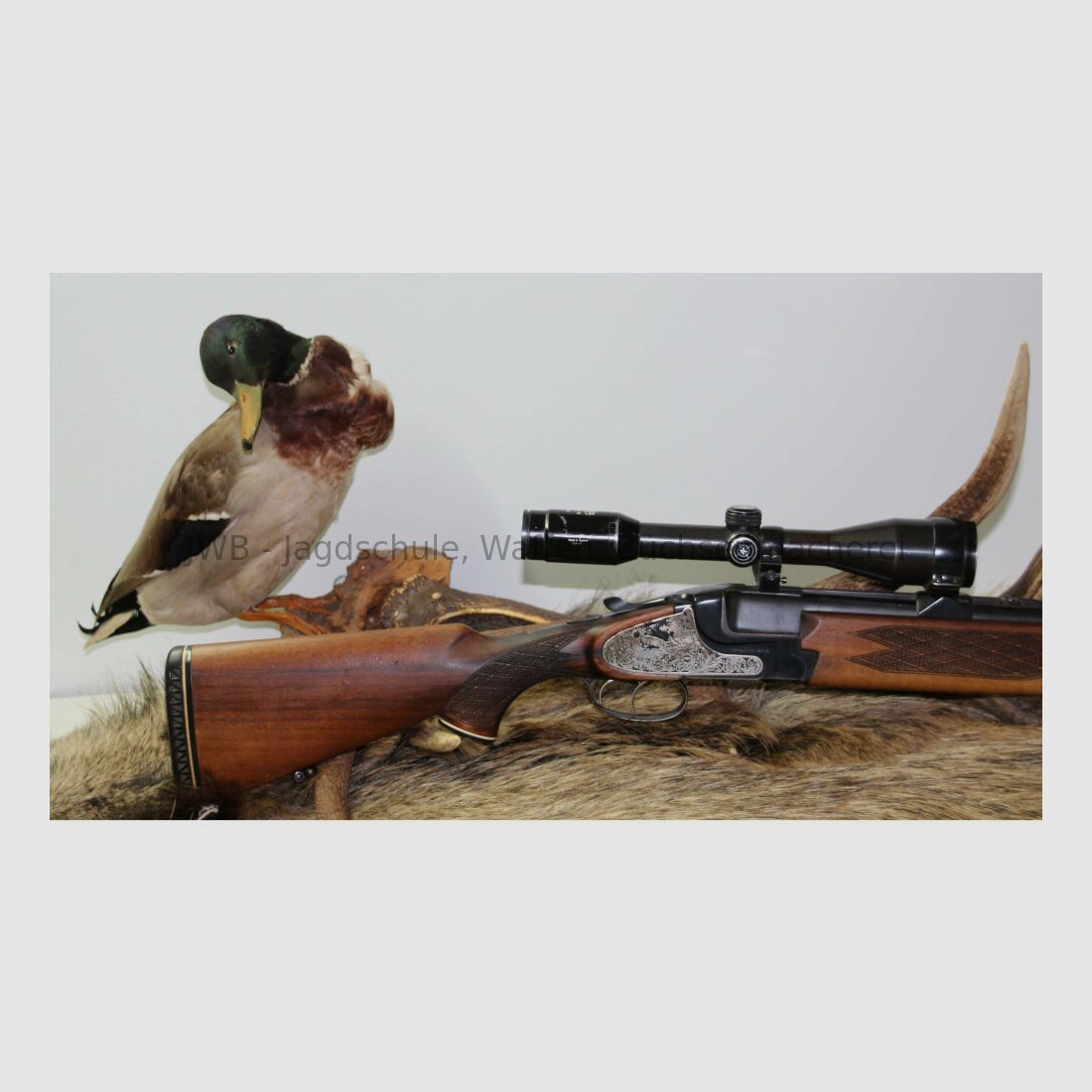 Brünner Super Bockbüchsflinte mit Wechsellauf und Schwenkmontage 12/70;7x57R