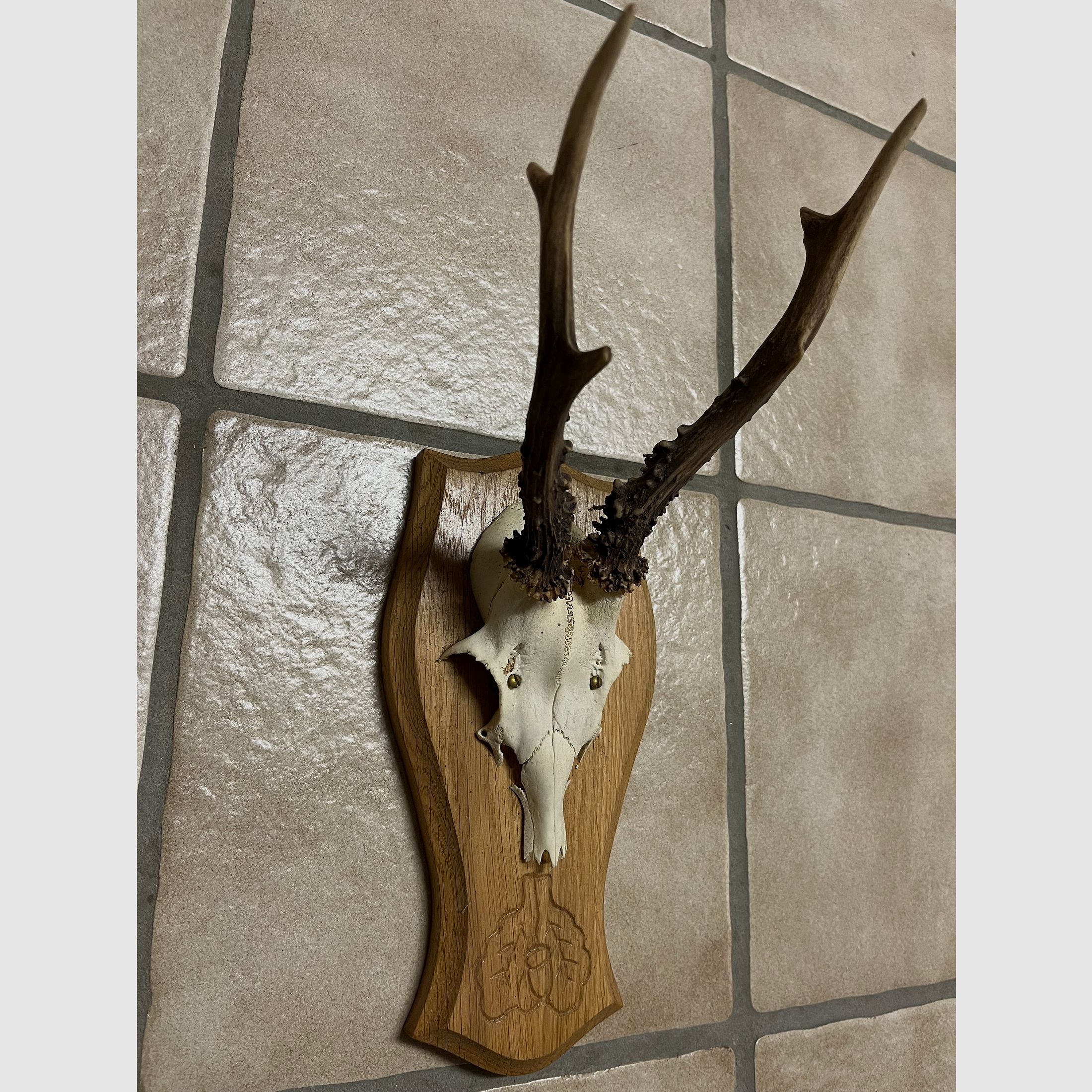 Geweih Jagdtrophäe mit Geweihbrett