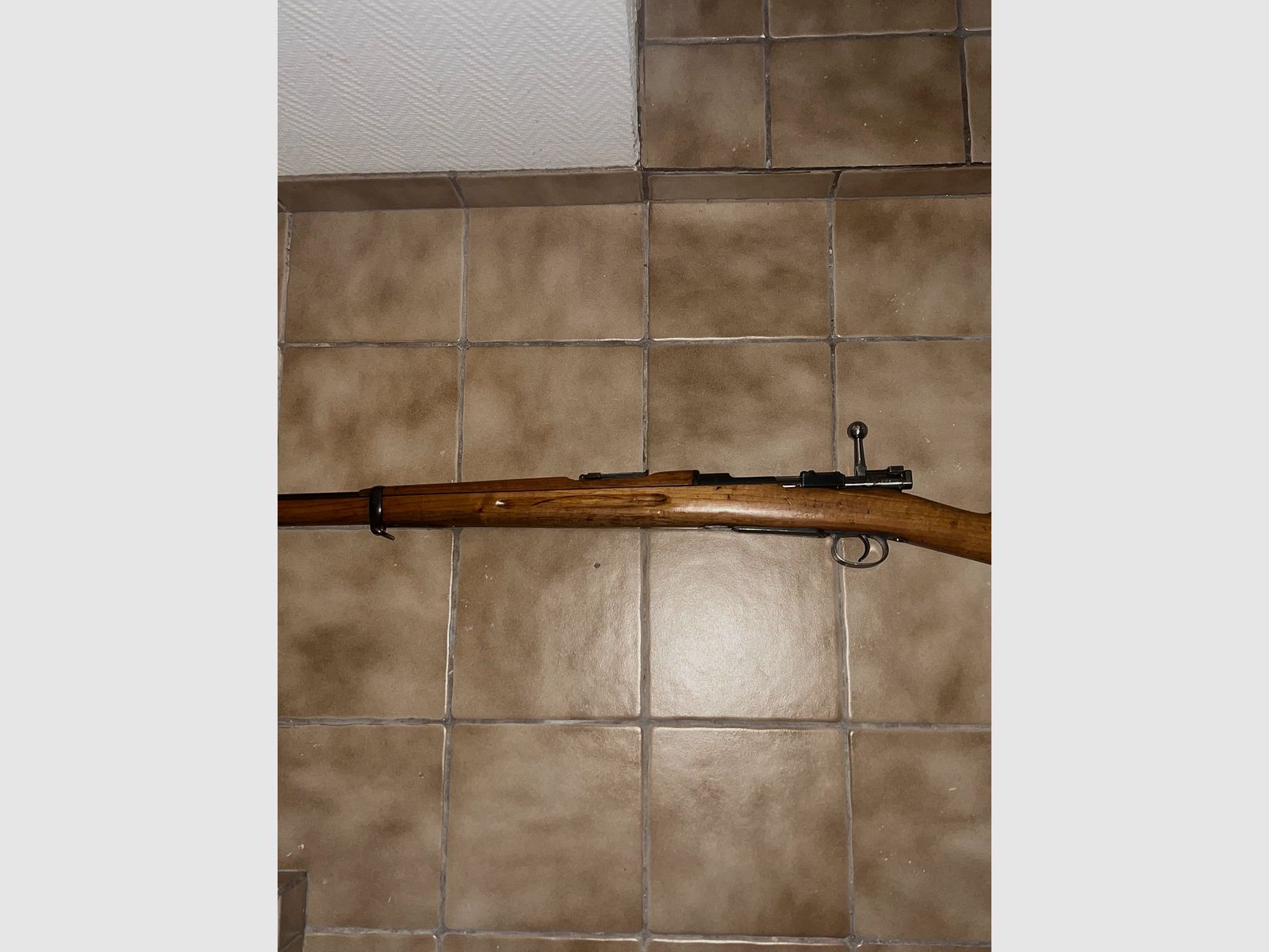 Svezia Mauser M96 Carl Gustaf 1900