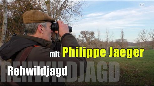 Rehwildjagd in Südfrankreich / Roe deer stalking in Southern France