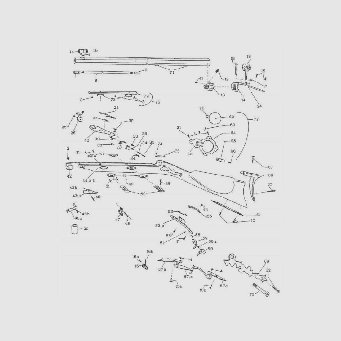 Galletto TRYON PEDERSOLI, immagine 5 di 5