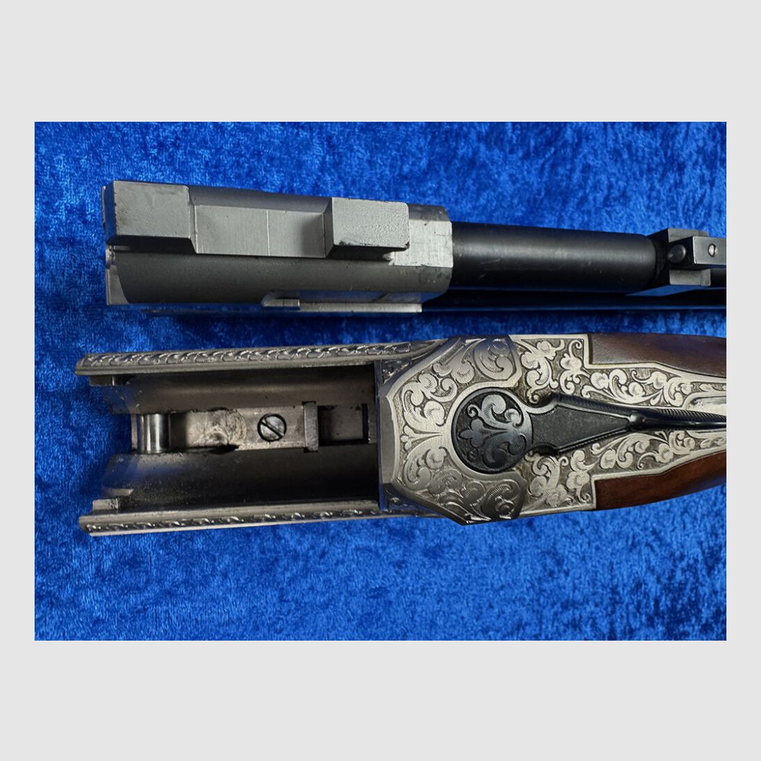 Blaser ES 700