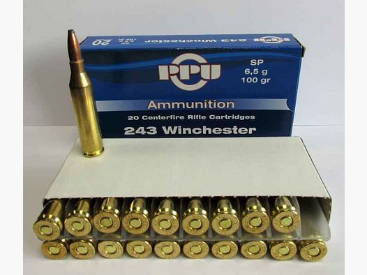 PARTIZAN 243 WINCHESTER