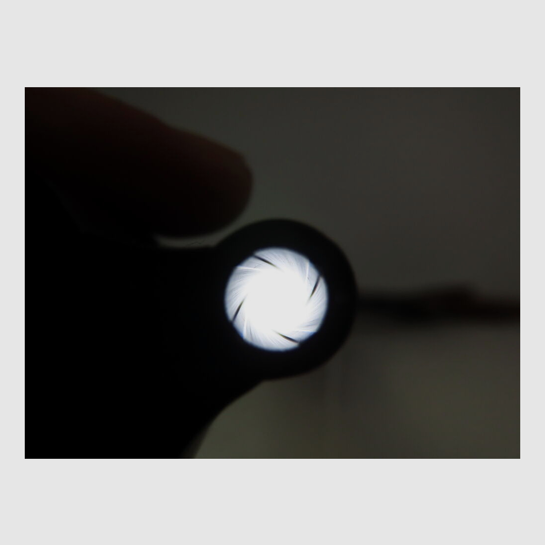 Moritz Zapf Bockdrilling