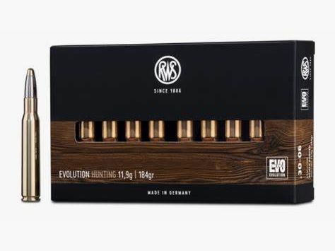 Munitions RWS Evolution Hunting Cal 9.3X62 291gr