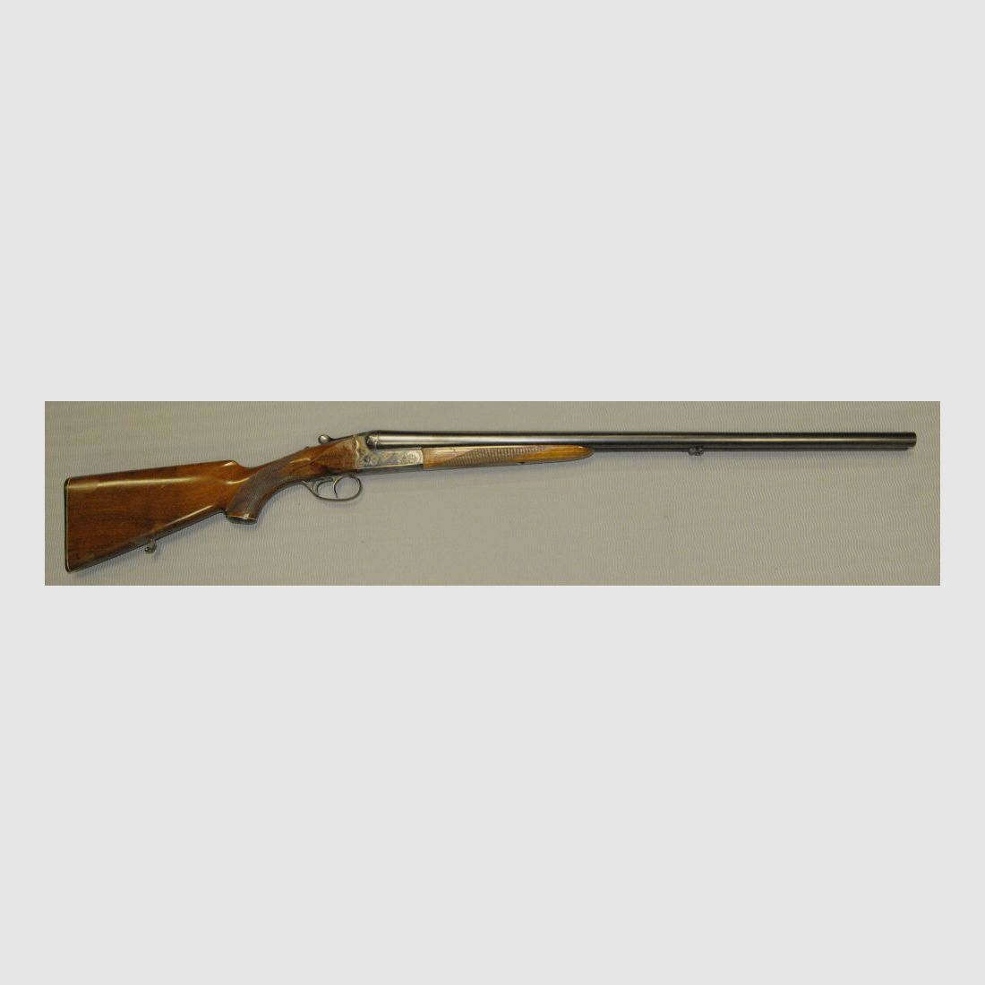 Sauer Aya
