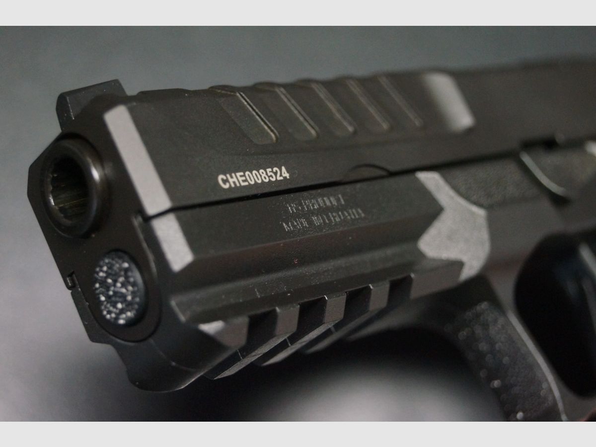 Springfield Armory Echelon OSP U-Notch, image 5 sur 8