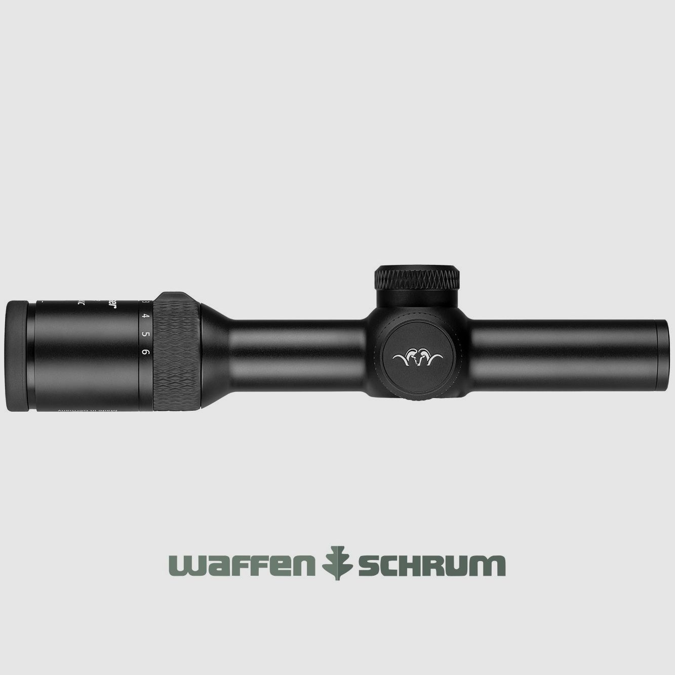 Blaser B2 1-6x24 iC S  mit Schiene Illumination Control