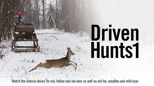 DRIVEN HUNTS 1 | EXCLUSIVELY ON MOTV.COM