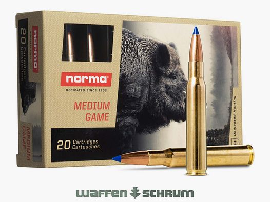 Norma Bondstrike Extreme .30-06Spring 11,7g - 180gr