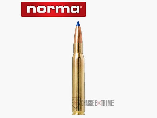 20 nabojów NORMA Kal. 30-06 sprg 180gr Bondstrike Extreme