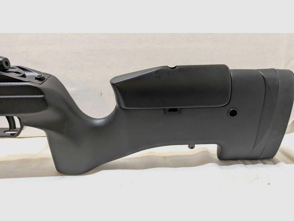 Sako TRG 22