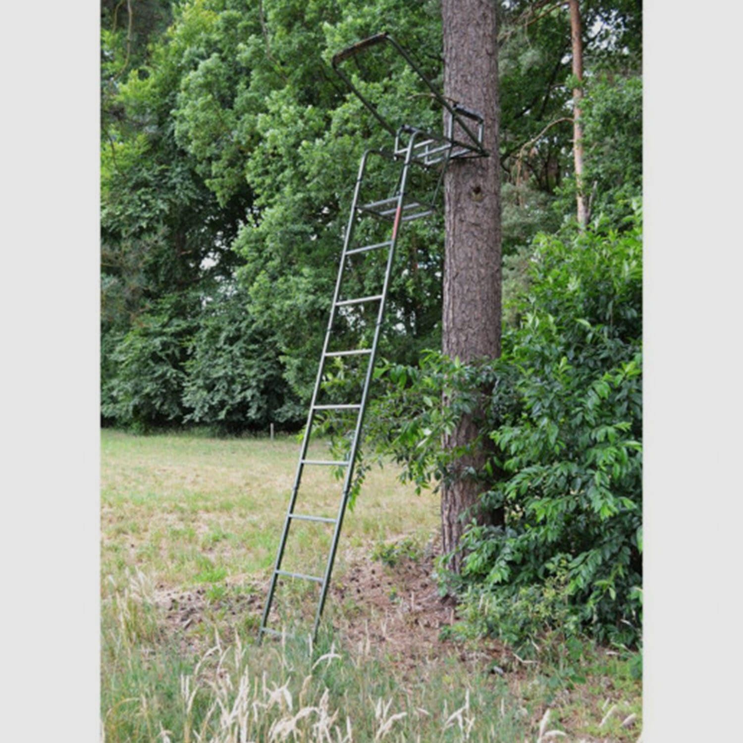 Farm-Land Ansitzleiter