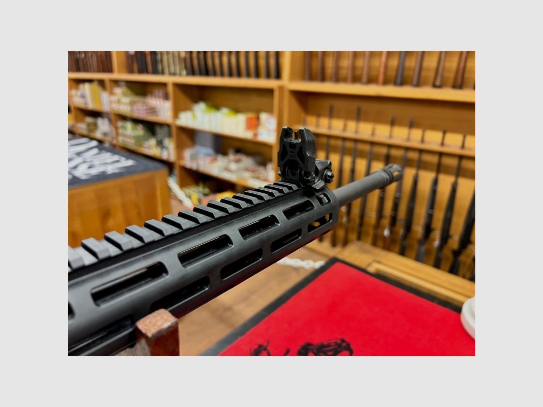 Smith & Wesson MP15-22 22lr, Bild 3 von 7