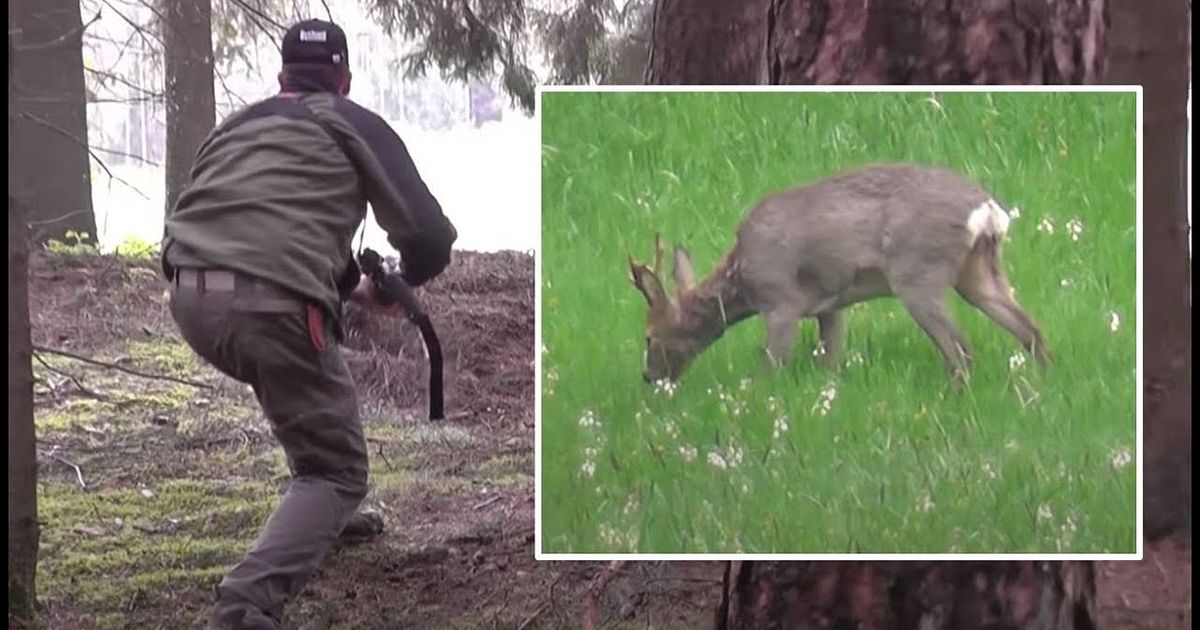 Opening Day Roe Buck Hunt In Germany (Rehbockjagd 1. Mai), Season 5 V35 ...