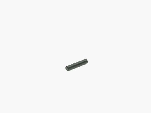 Pasador de la carcasa del gatillo GLOCK 42/43