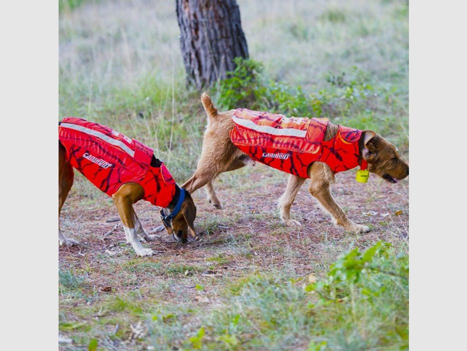 Schutzweste für Jagdhunde Canihunt Protect Defender 2.0, Bild 7 von 18