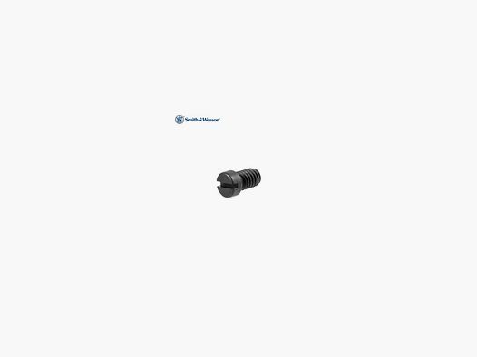 Smith & Wesson Sideplate Screw Flat Head blued 050910000