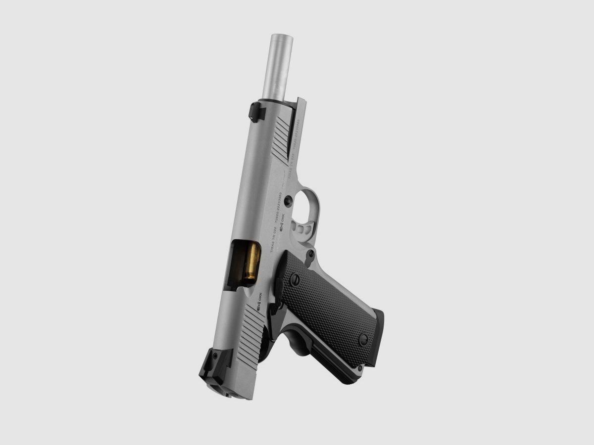 Pistolet TISAS ZIG M 1911 Inox 5 - CAL 45 ACP TISAS, image 8 sur 10