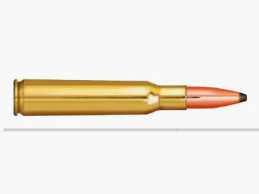 Partizan 30-06 Spring PSP BT 165gr