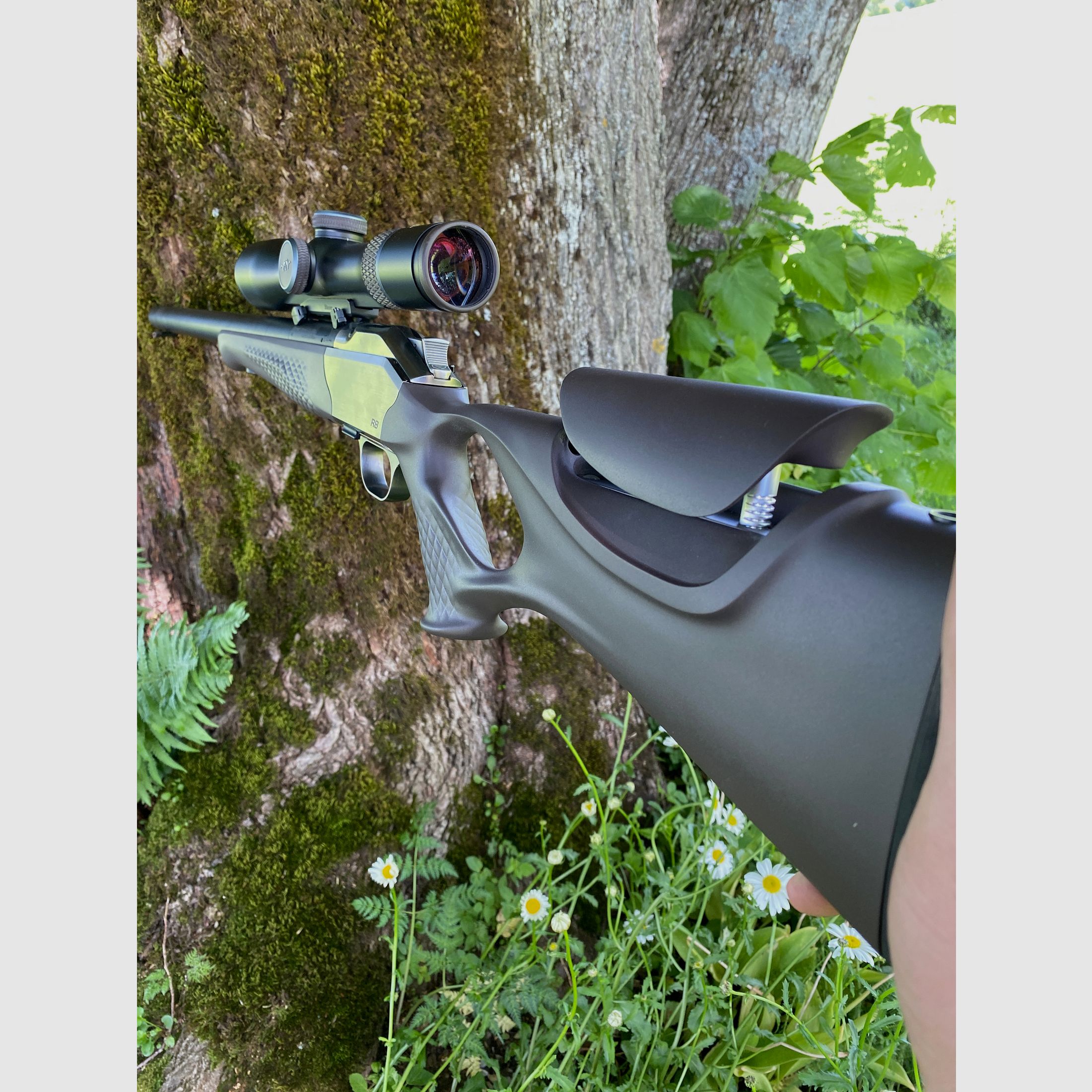 Blaser R8 kolf / doorloperschaft